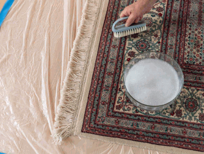 shampooing the rugs