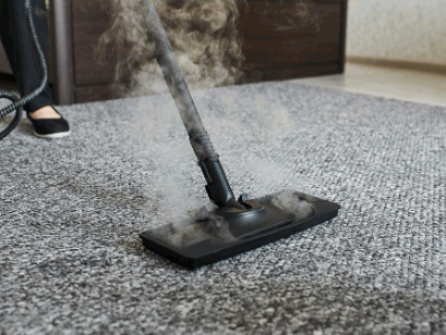 steam cleaning the rugs